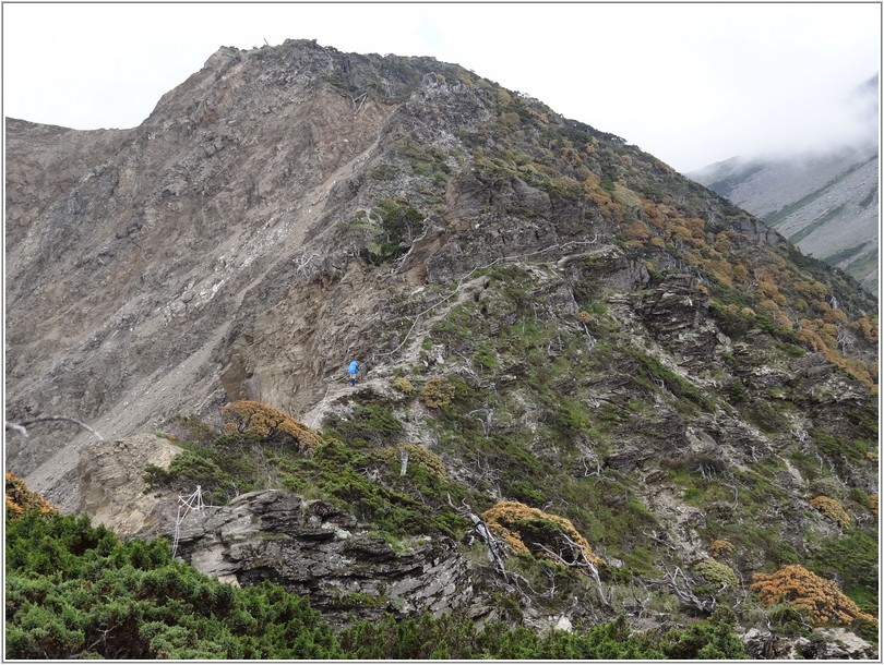 2012-07-11 13-43-52挺進五岩峰.JPG